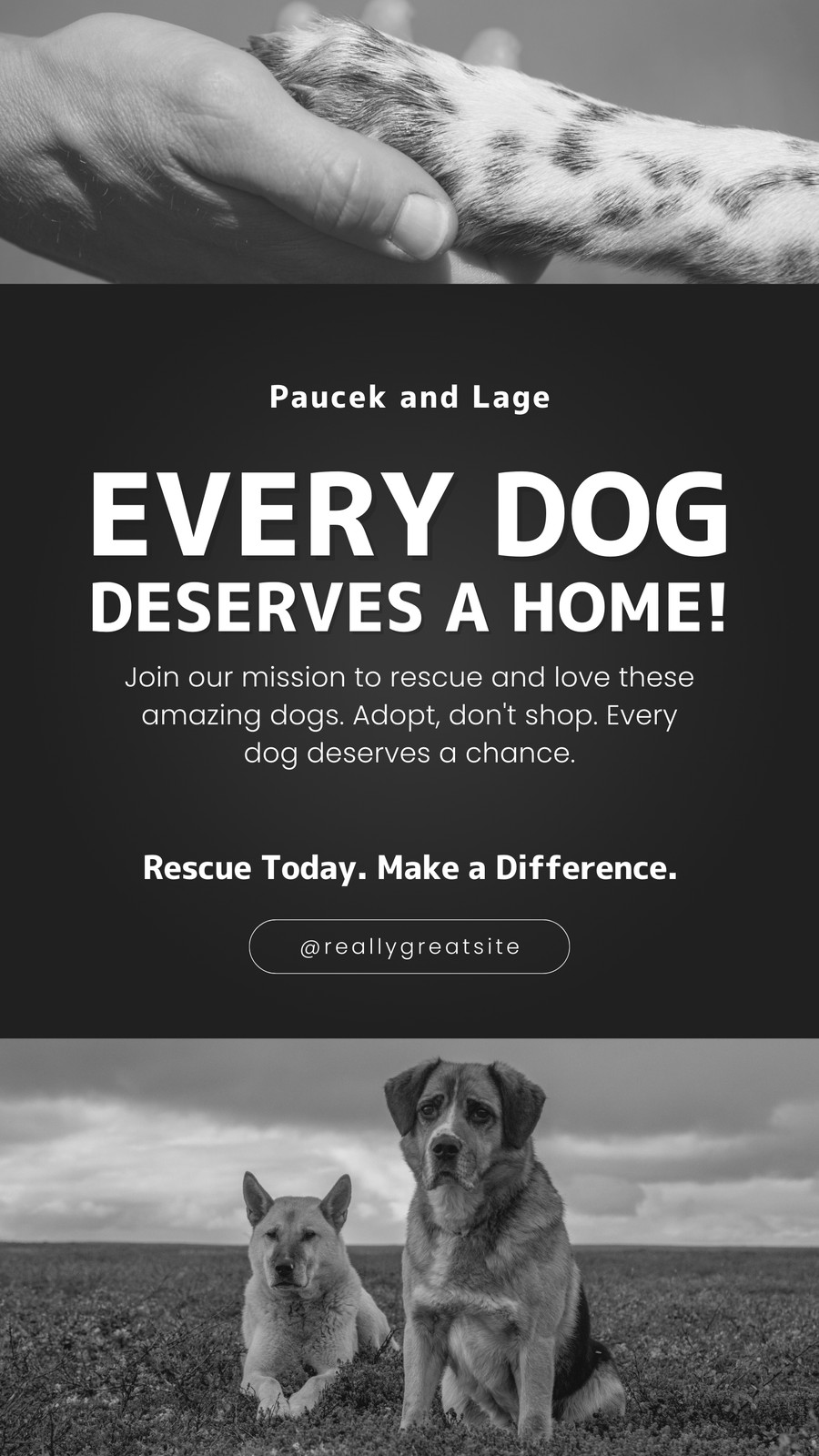Black And White Simple Dogs Rescue Instagram Story