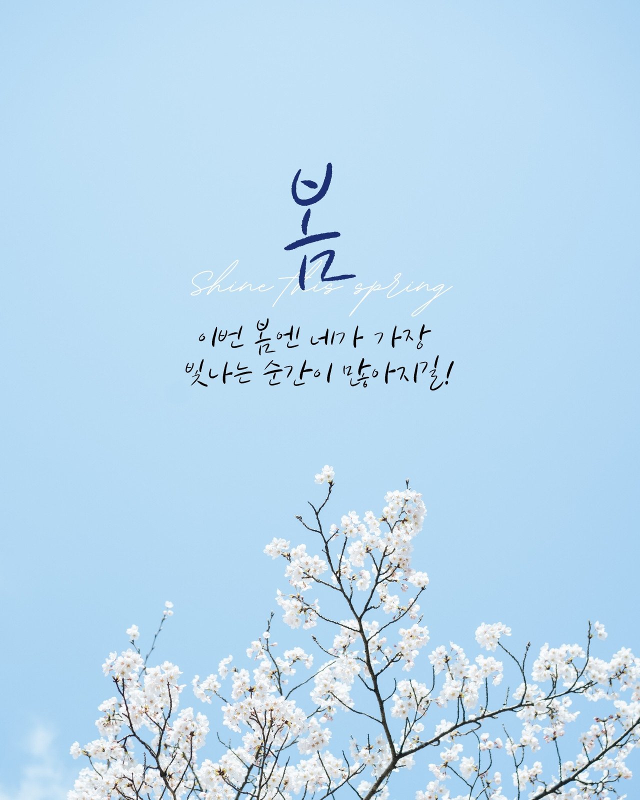 블루 심플한 사진 봄 희망적인 문구 인스타그램 포스트