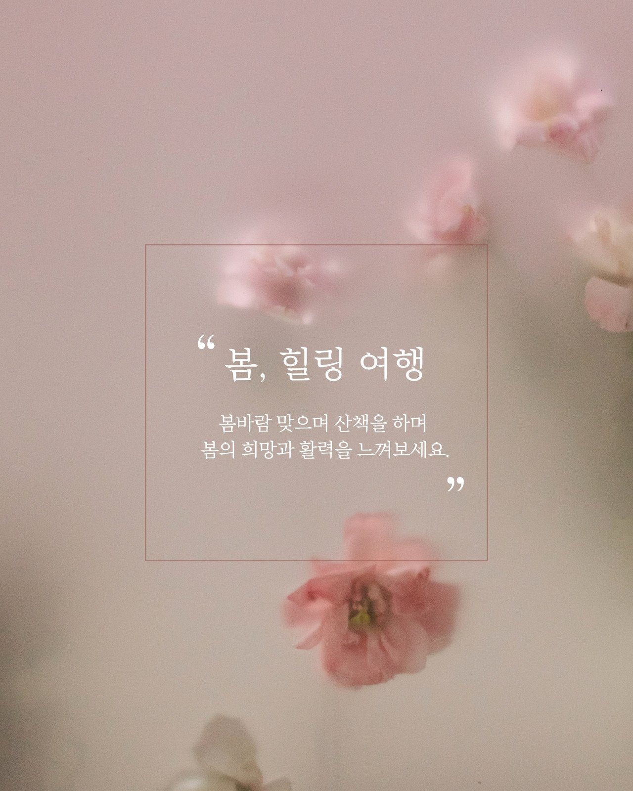 핑크 봄 여행 감성적인 인스타그램 게시물