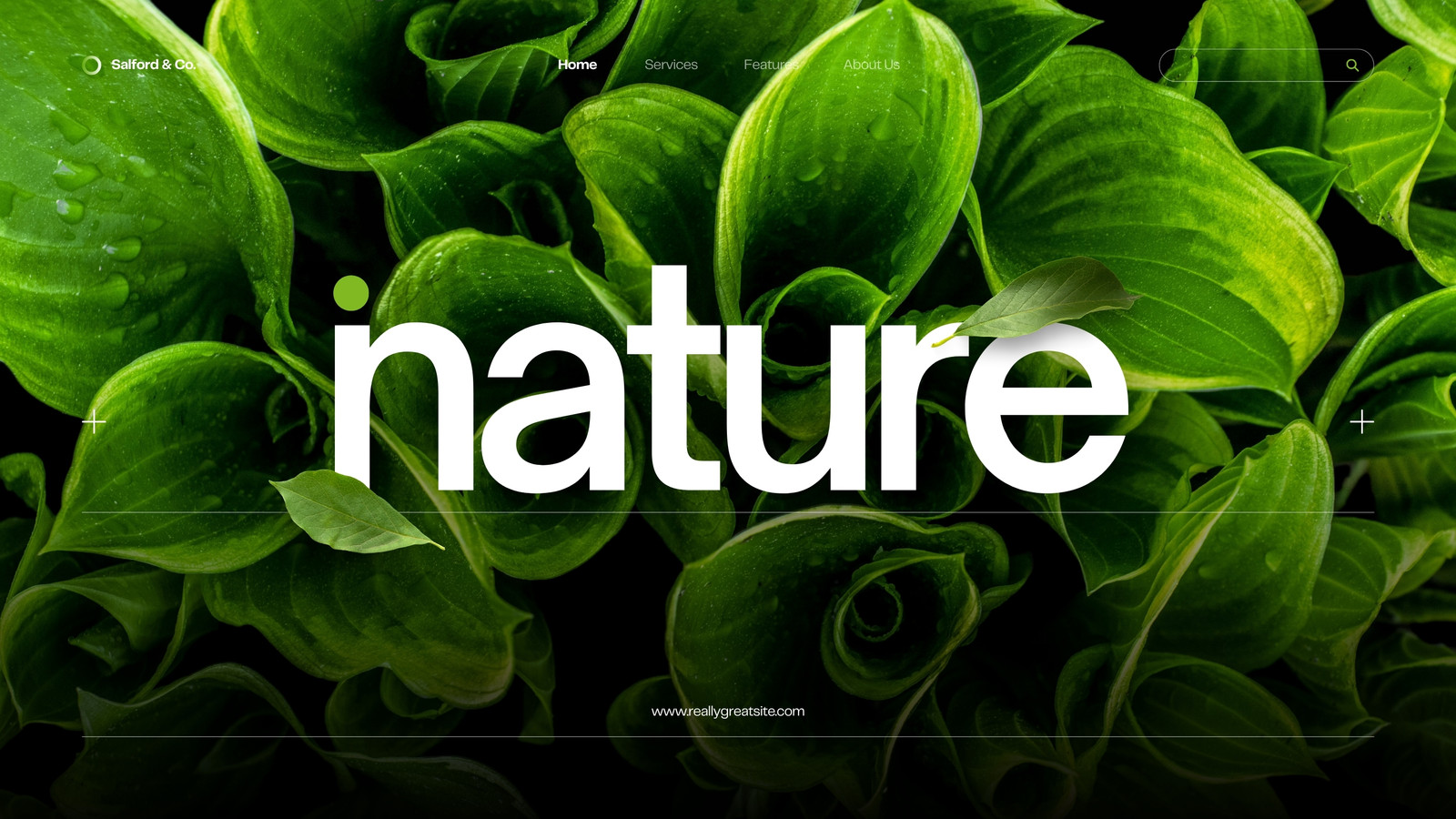Free and customizable plant templates | Canva