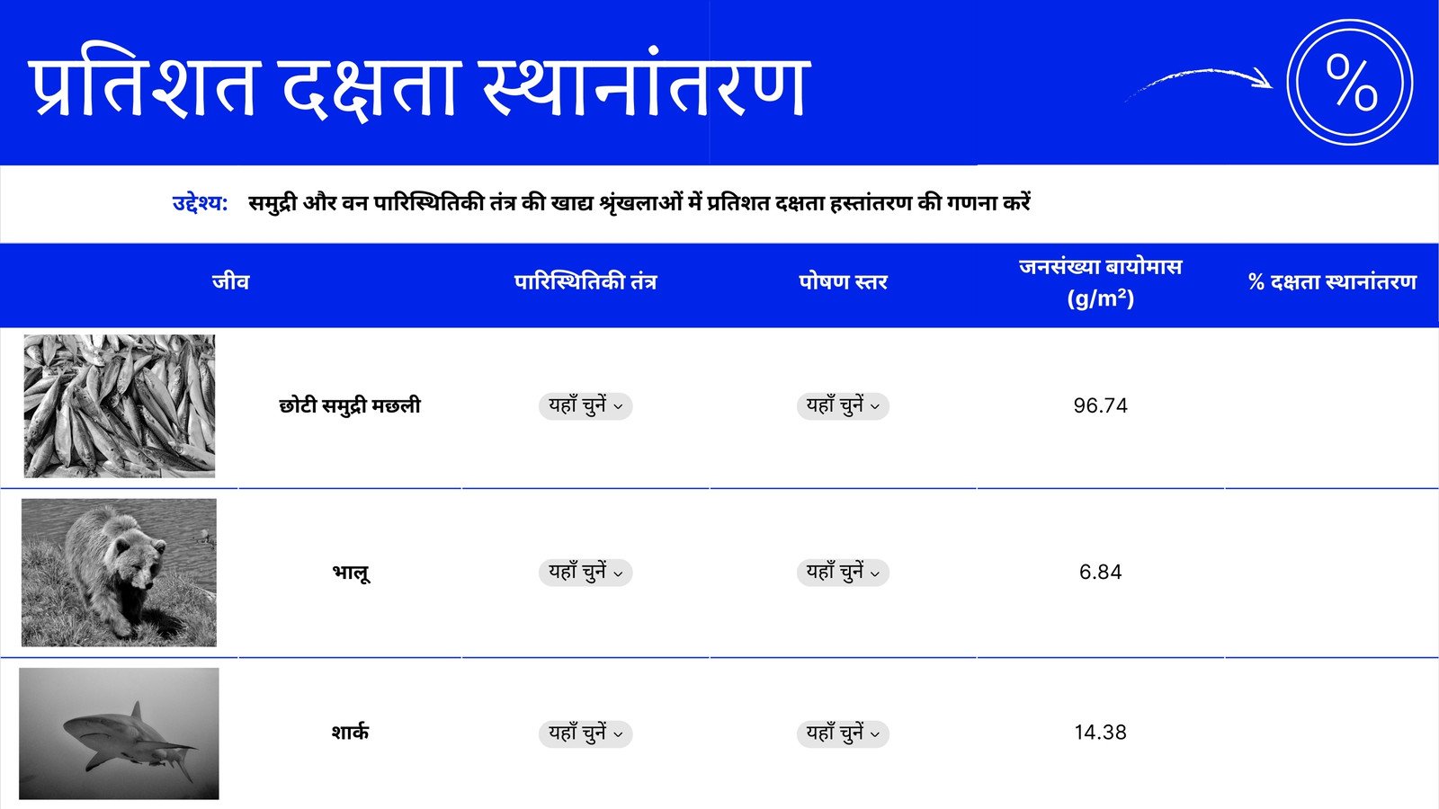 नीले ग्रे मॉडर्न ग्रिड स्टाइल में प्रतिशत दक्षता स्थानांतरण शीट