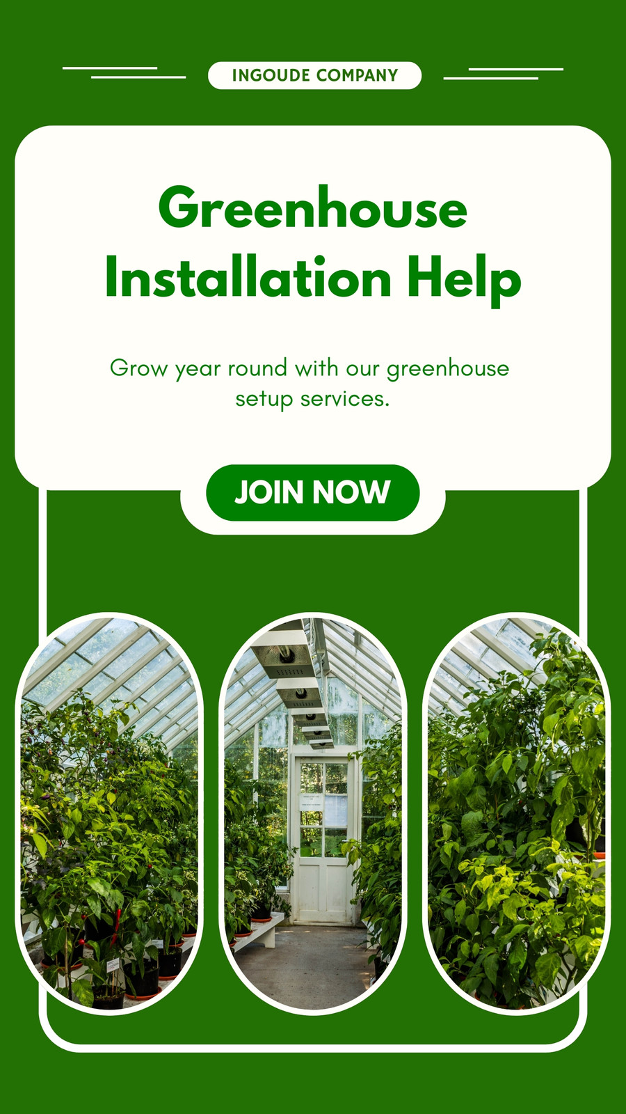 Green and White Simple Greenhouse Installation Help Instagram Story