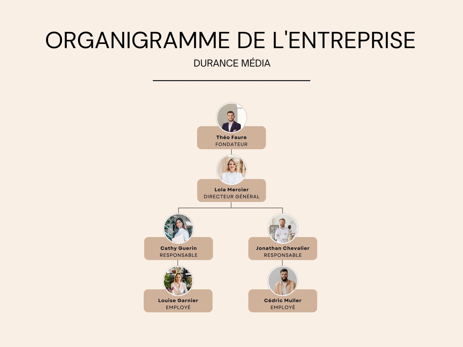 Organigramme de l'entreprise Moderne Beige