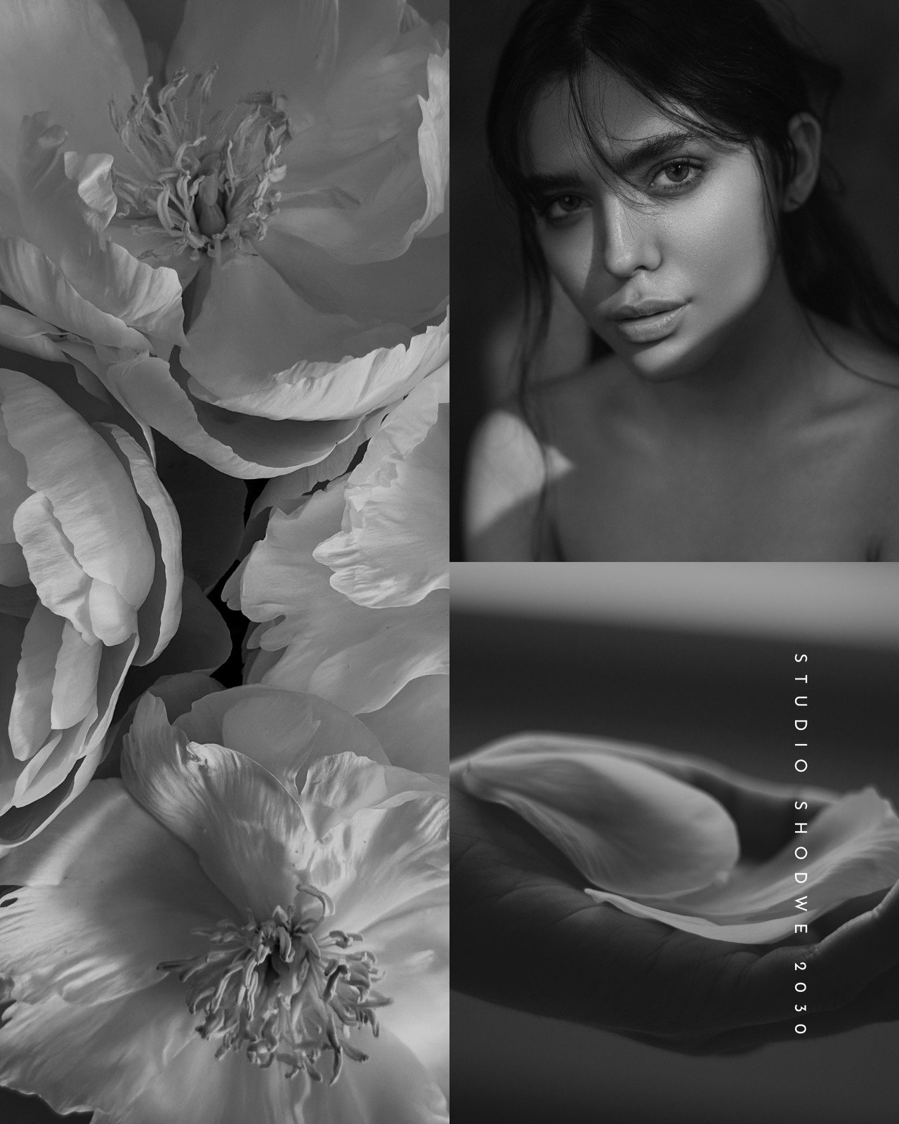 Bianco Nero Estetico Elegante Collage di Foto Post Instagram