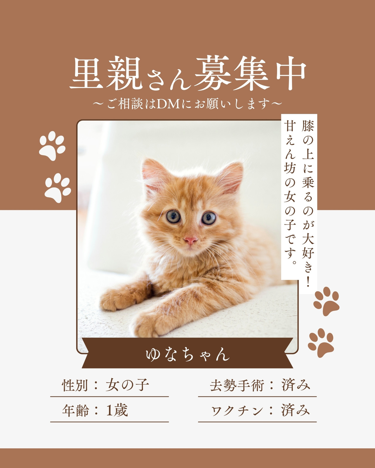 里親募集無料テンプレートデザイン。イラストや画像付きも豊富 - Canva