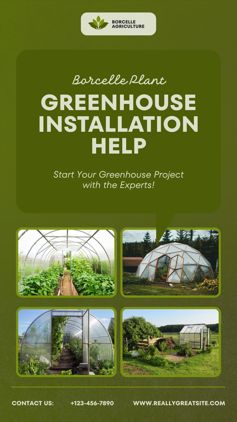 Green Modern Greenhouse Instalation Help Your Story