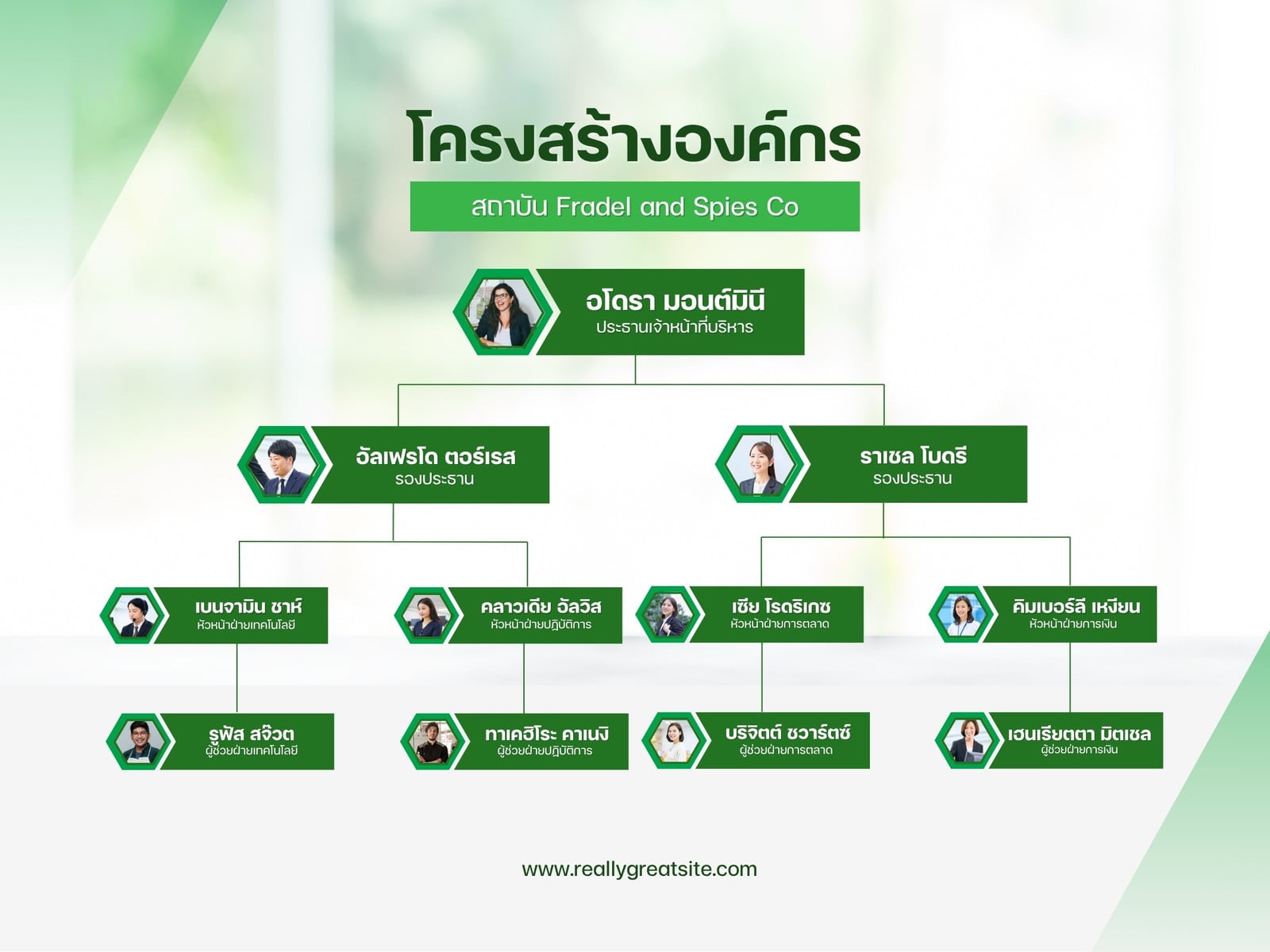 สีเขียวและสีขาว เรียบง่าย ทางการ แผนผัง โครงสร้างองค์กร บริษัท กราฟ
