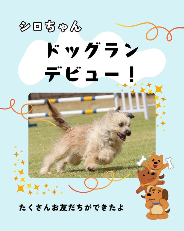 Canvaいらすとや|かわいいフリーイラスト素材やテンプレートが使い放題。商用利用でも点数制限なしでデザイン可能 | Canva(キャンバ)