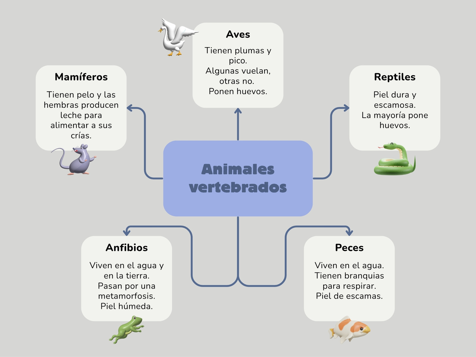 Mapa Conceptual Animales Vertebrados Simple 3D Gris