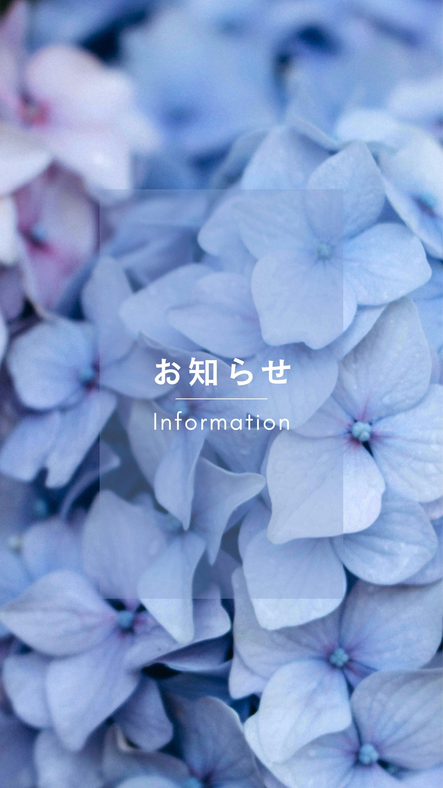 紫陽花イラスト・画像・テンプレート