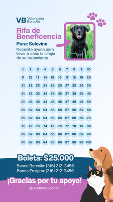 Formato de rifa 100 números para editar gratis | Canva