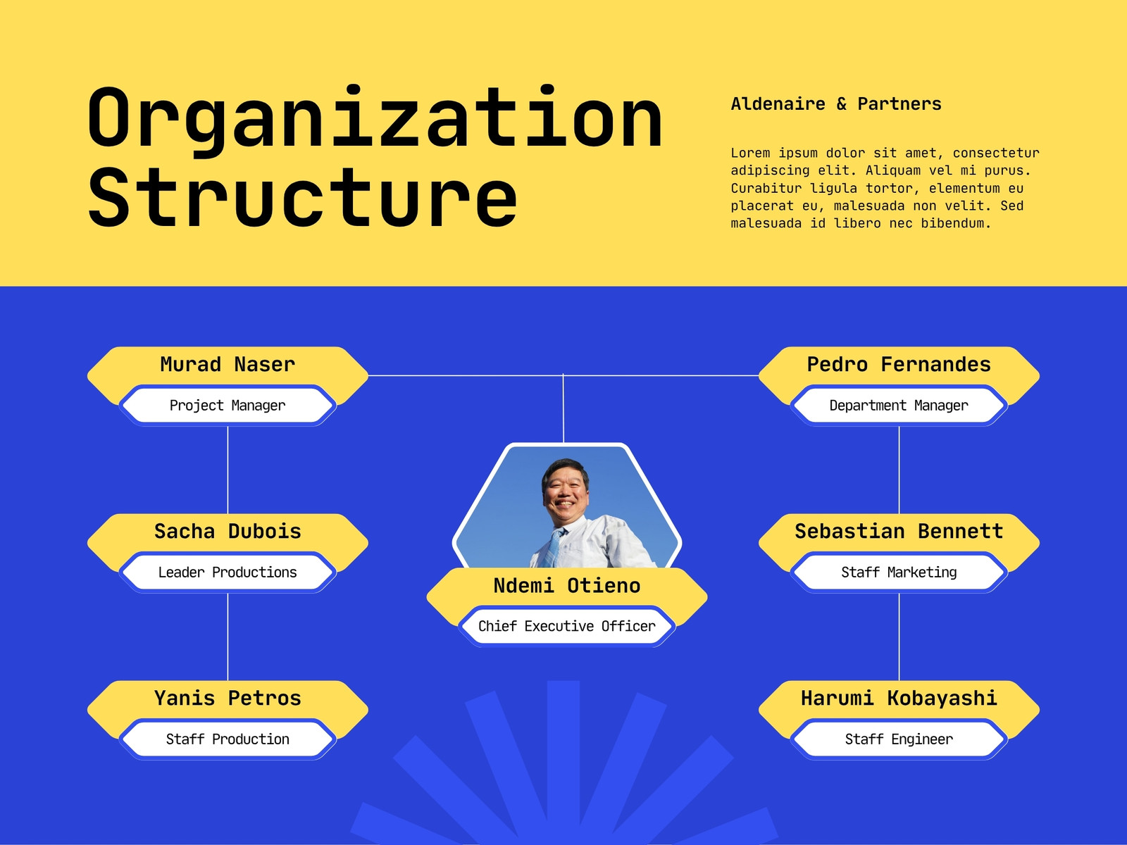 Blue and Yellow Modern Organization Structure Flowchart Graph