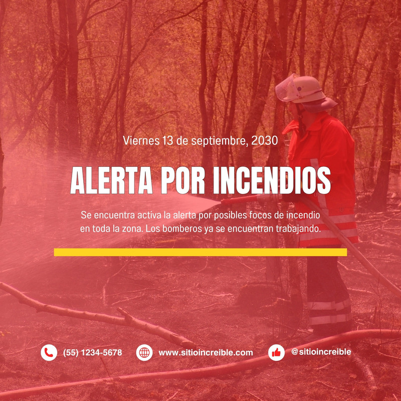 Plantillas de Alerta online gratis | Canva
