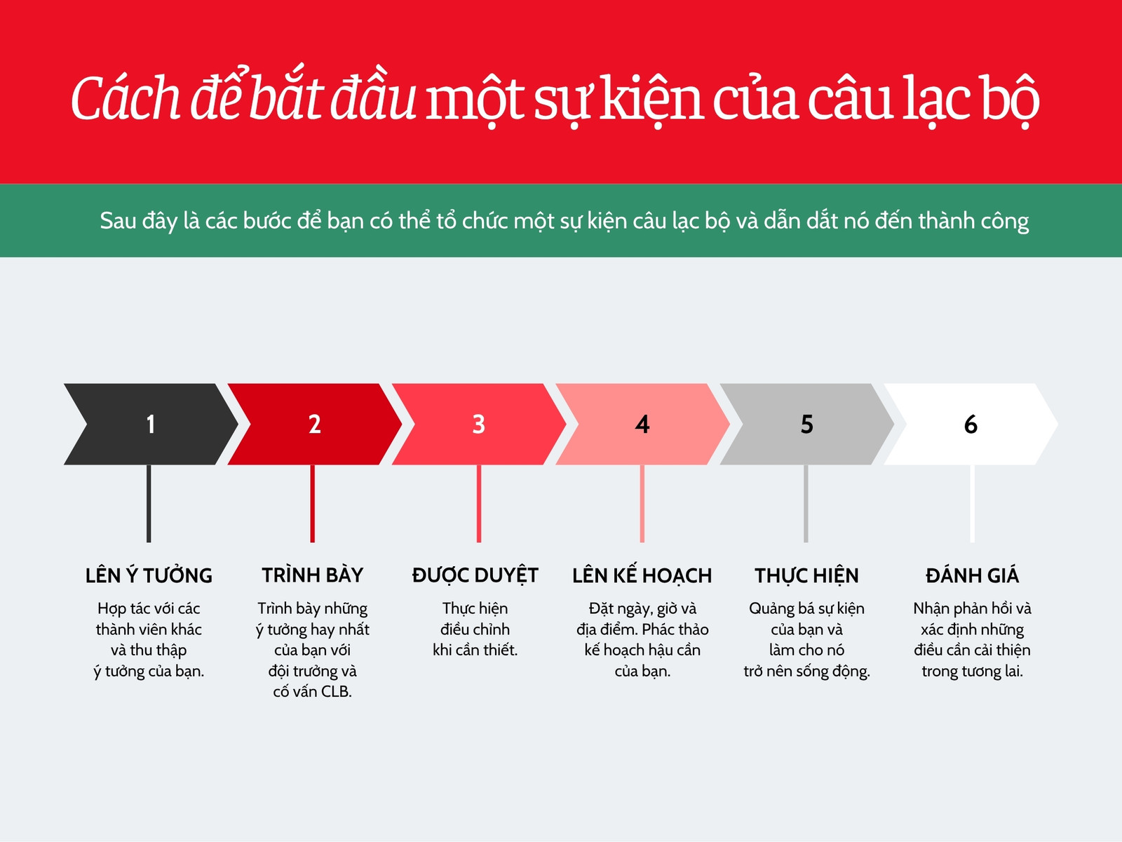 Biểu đồ Quy trình làm việc Nhóm Đỏ Xanh lá Phong cách Hiện đại