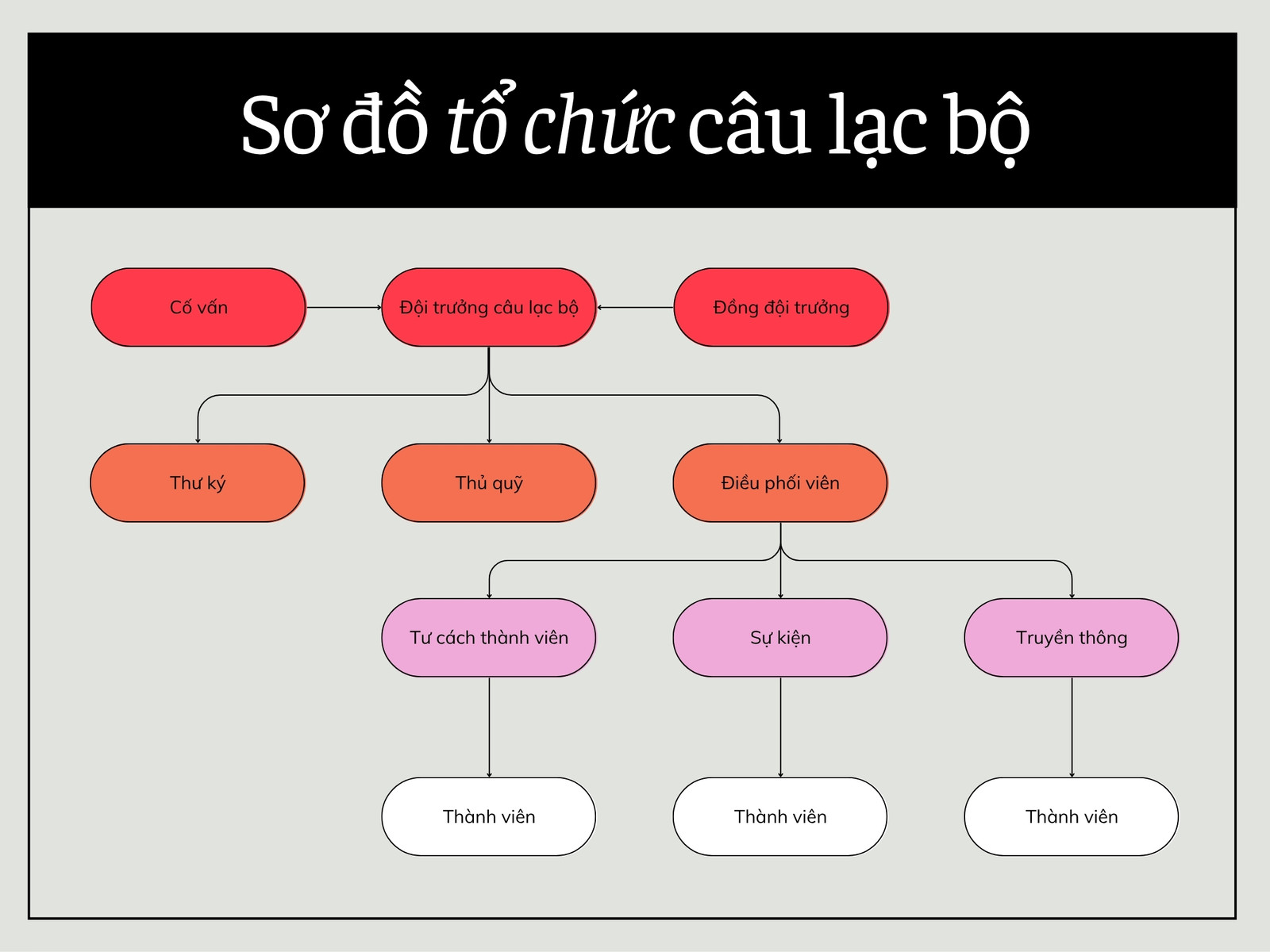 Biểu đồ Sơ đồ Tổ chức Câu lạc bộ Đen Xám Đỏ Cam Phong cách Hiện đại