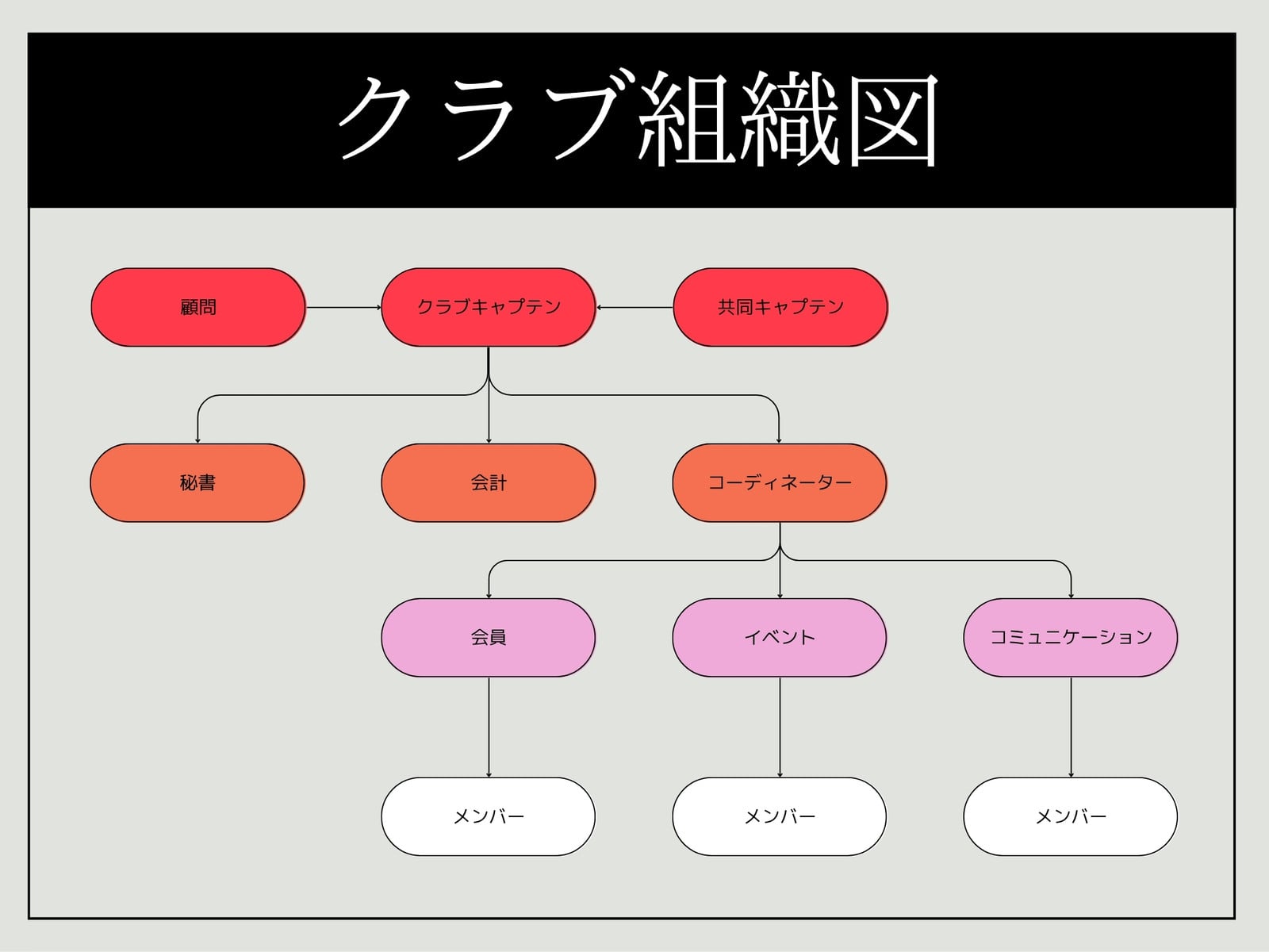 クラブ組織図 グラフ