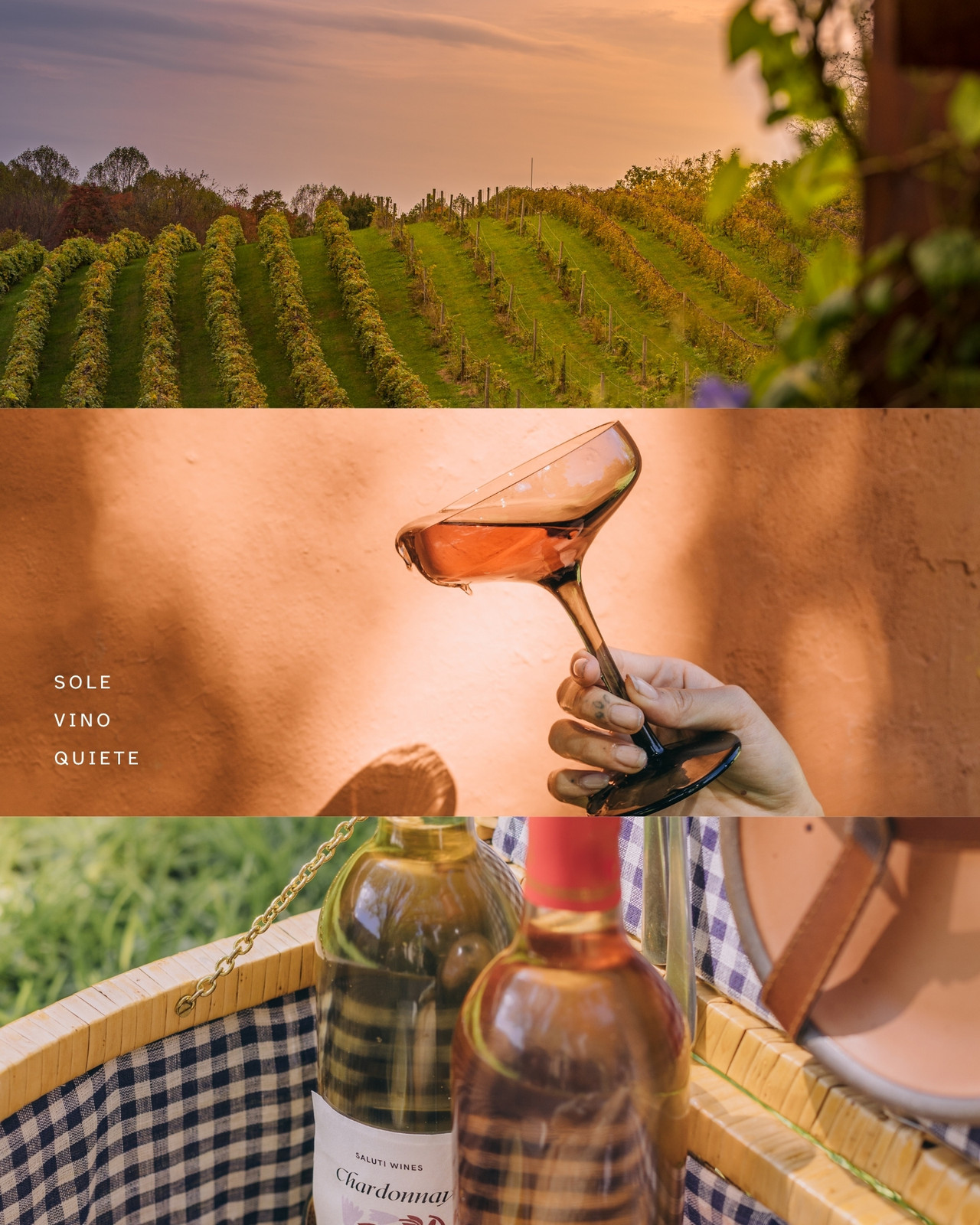 Arancione Pastello Estetico Minimalista Vino Collage di Foto Post Instagram