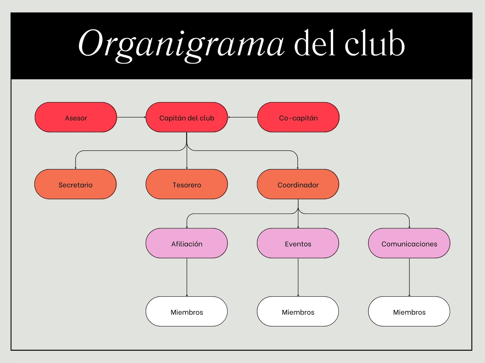 Gráfico del Organigrama del Club