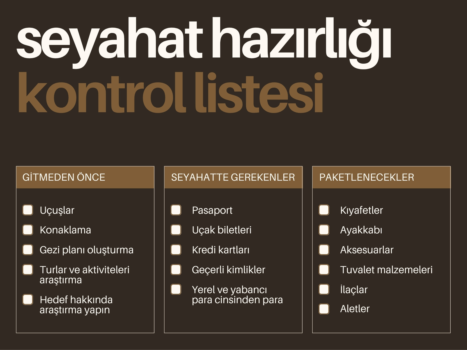 Kahverengi Bej Seyahat Kontrol Listesi Grafiği