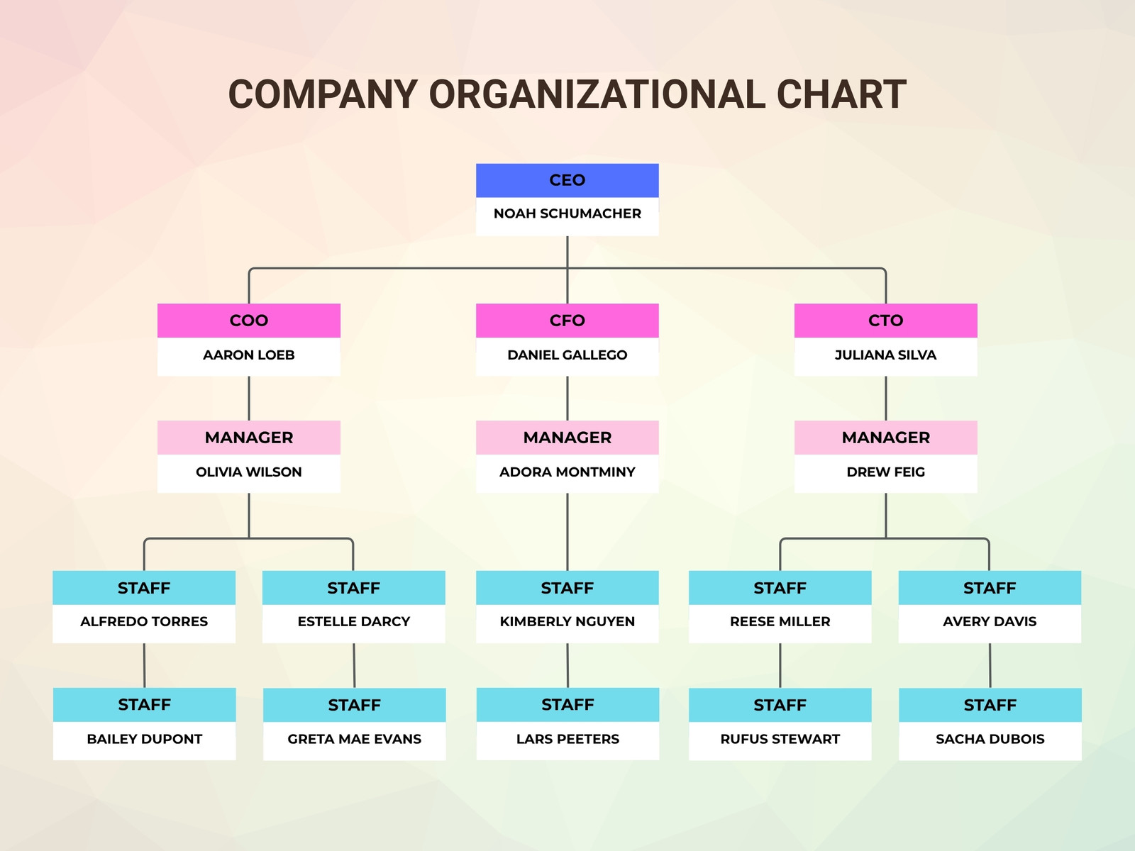 Blue and Pink Modern Company Organizational Chart Graph