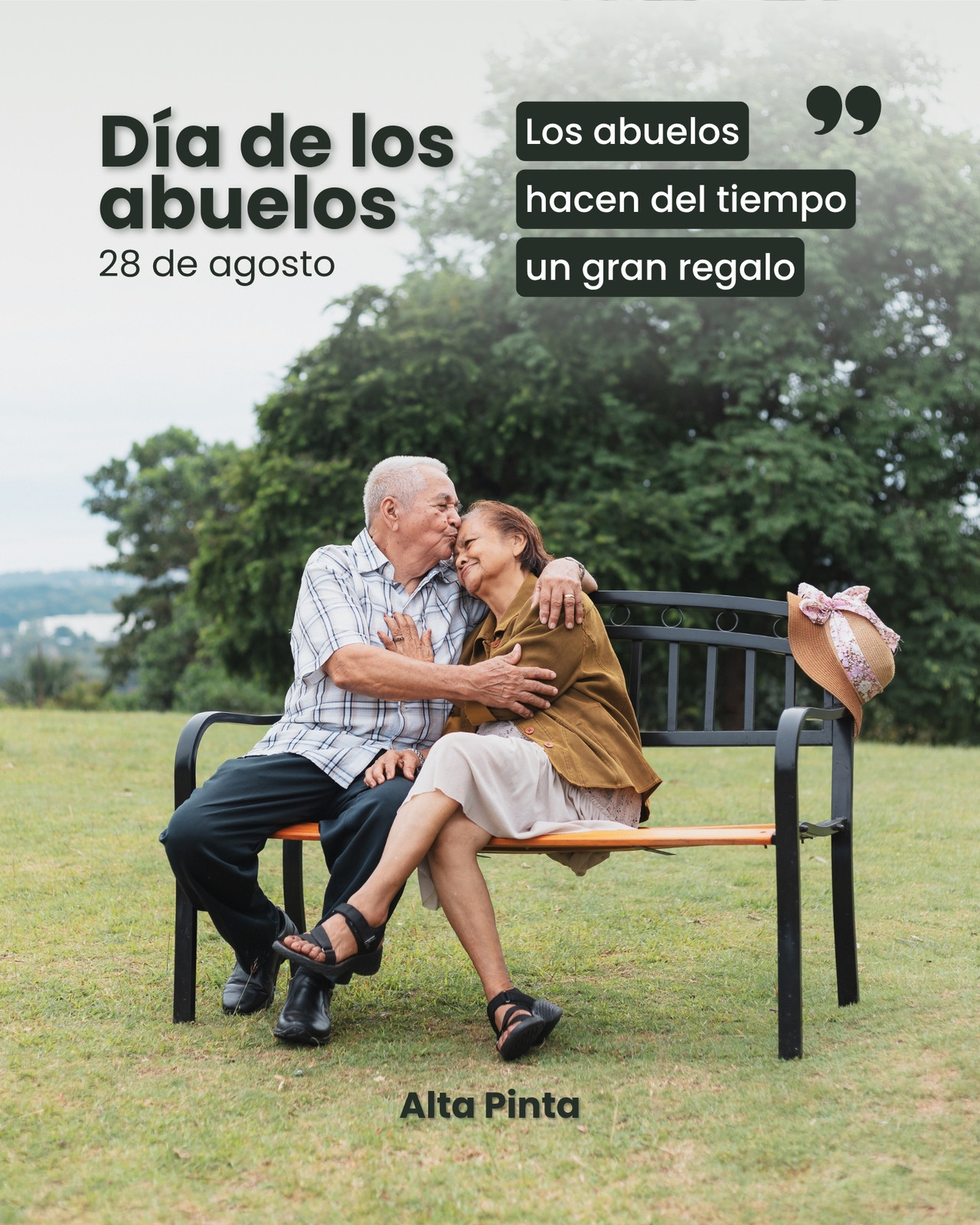 Post para Instagram - Día de los abuelos - Felicitación, simple, verde y blanco