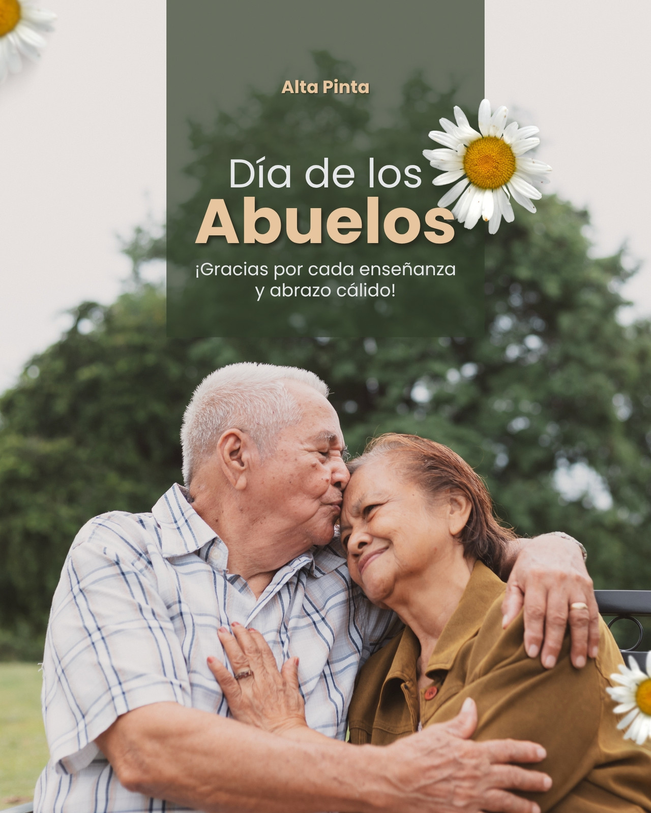 Post para Instagram - Día de los abuelos - Felicitación, moderno, verde y blanco