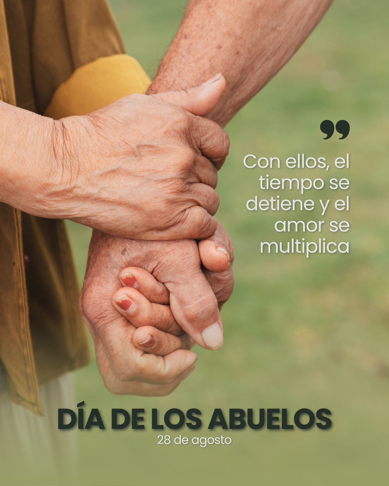 Post para Instagram - Día de los abuelos - Felicitación, tipográfico y verde