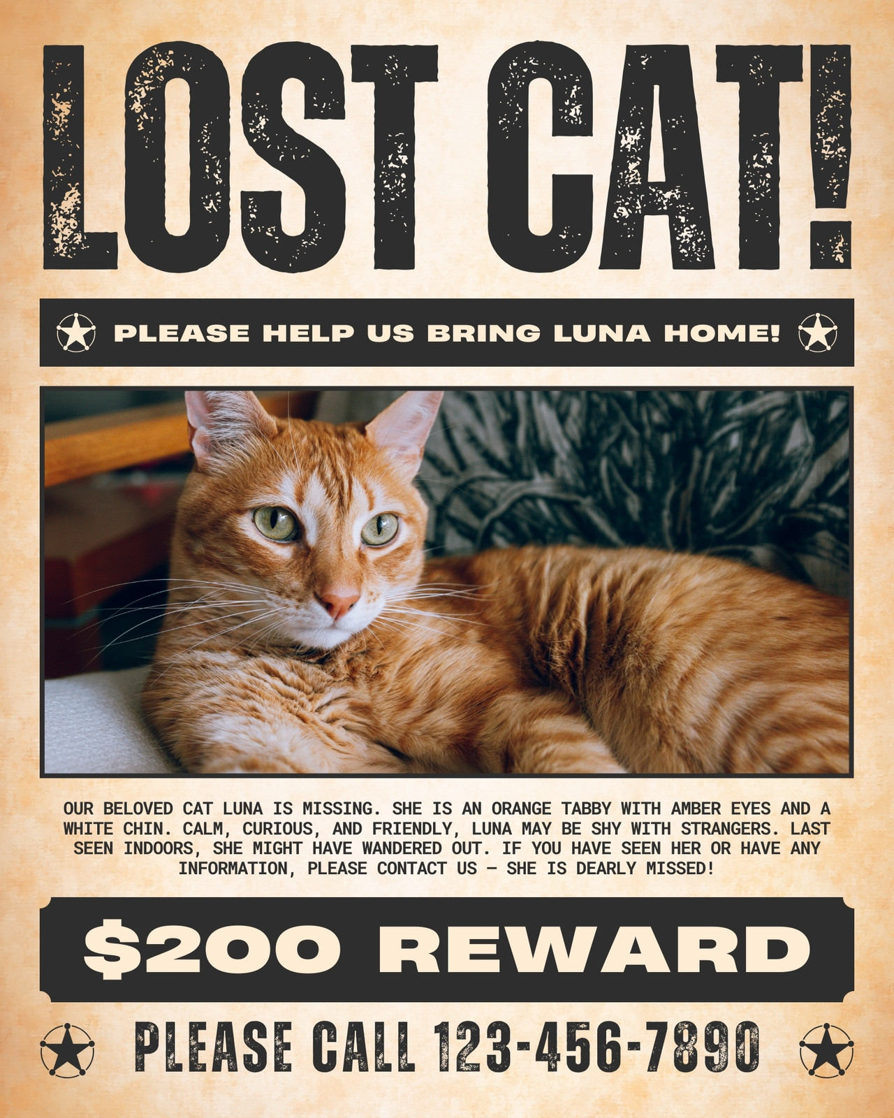 Beige and Black Vintage Lost Cat Instagram Post
