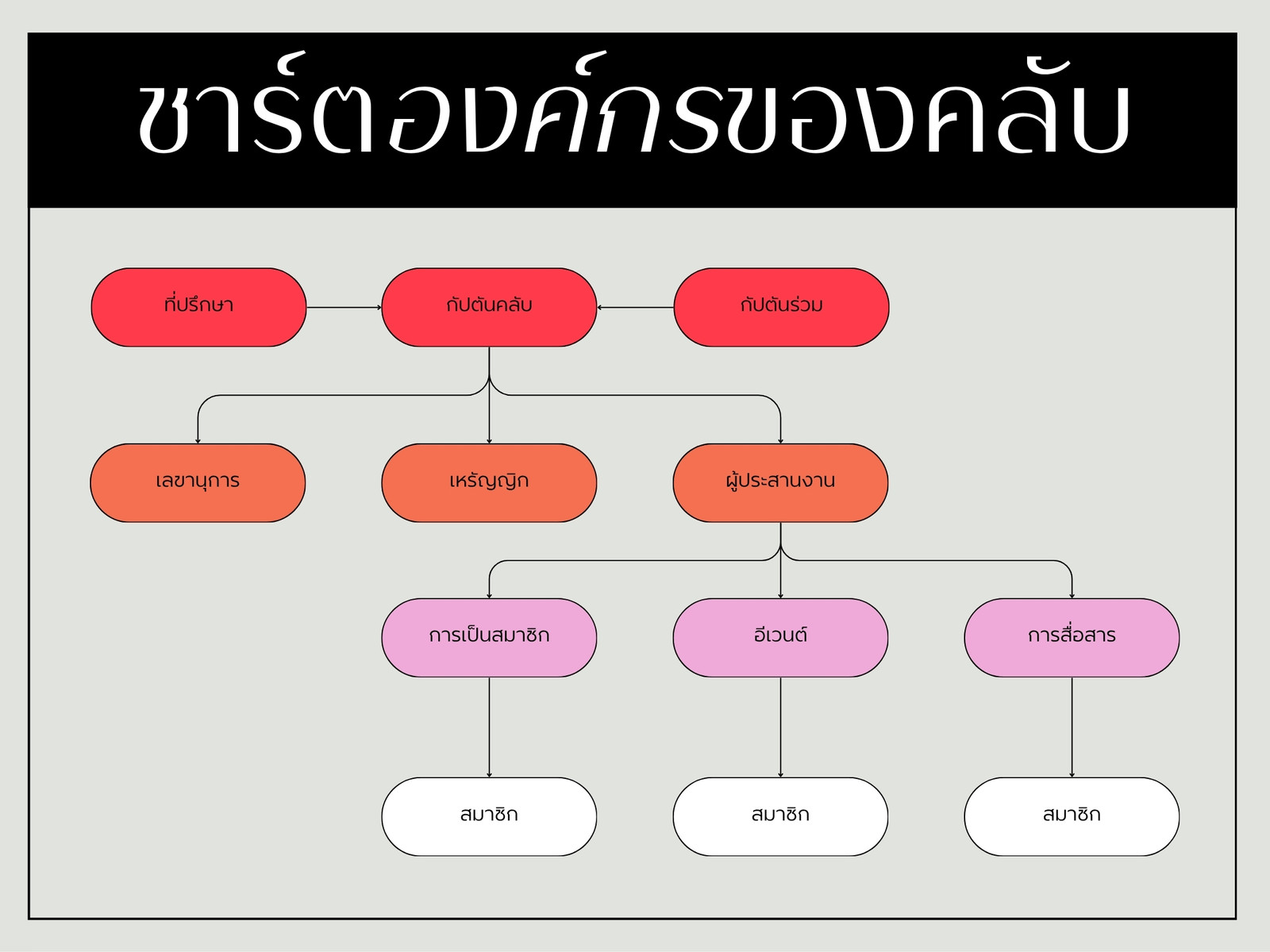 กราฟชาร์ตองค์กรของคลับ