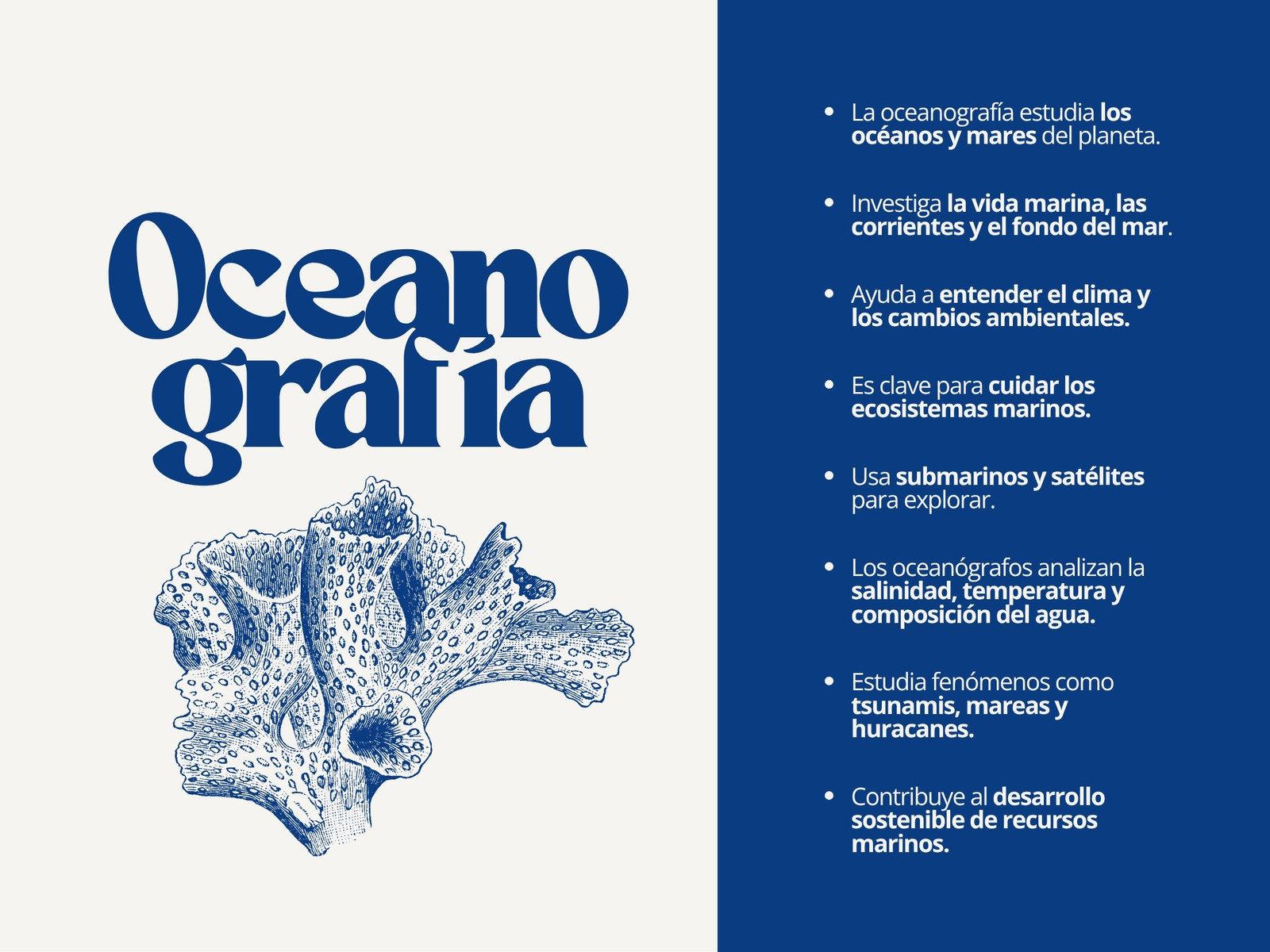Gráfica de oceanografía ilustrativo azul y gris
