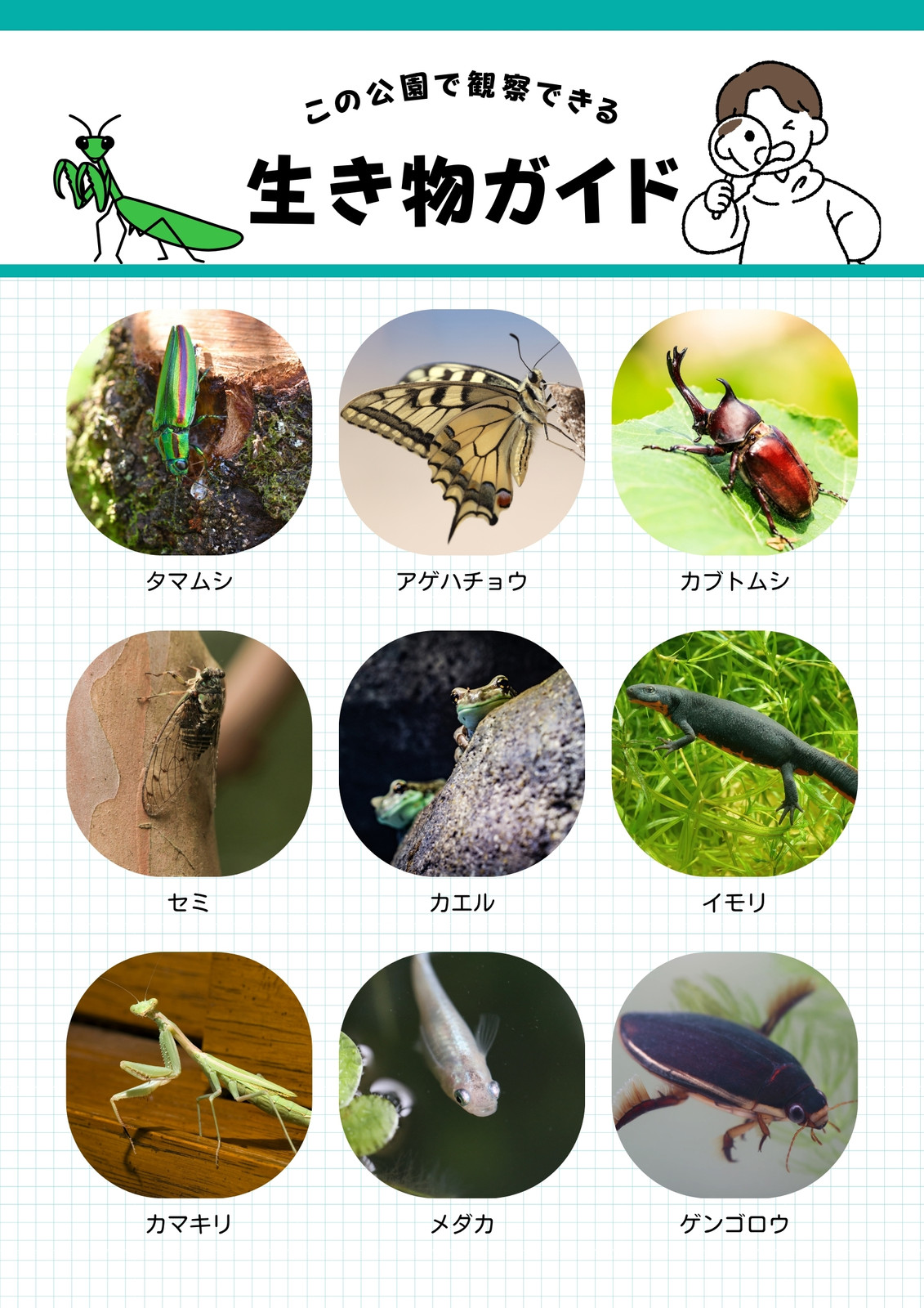 カマキリ図案　珍しい柄　共箱付き カマキリ無料テンプレートデザイン。イラストや画像付きも豊富 - Canva