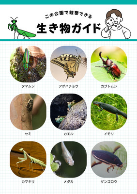 カマキリ無料テンプレートデザイン。イラストや画像付きも豊富 - Canva