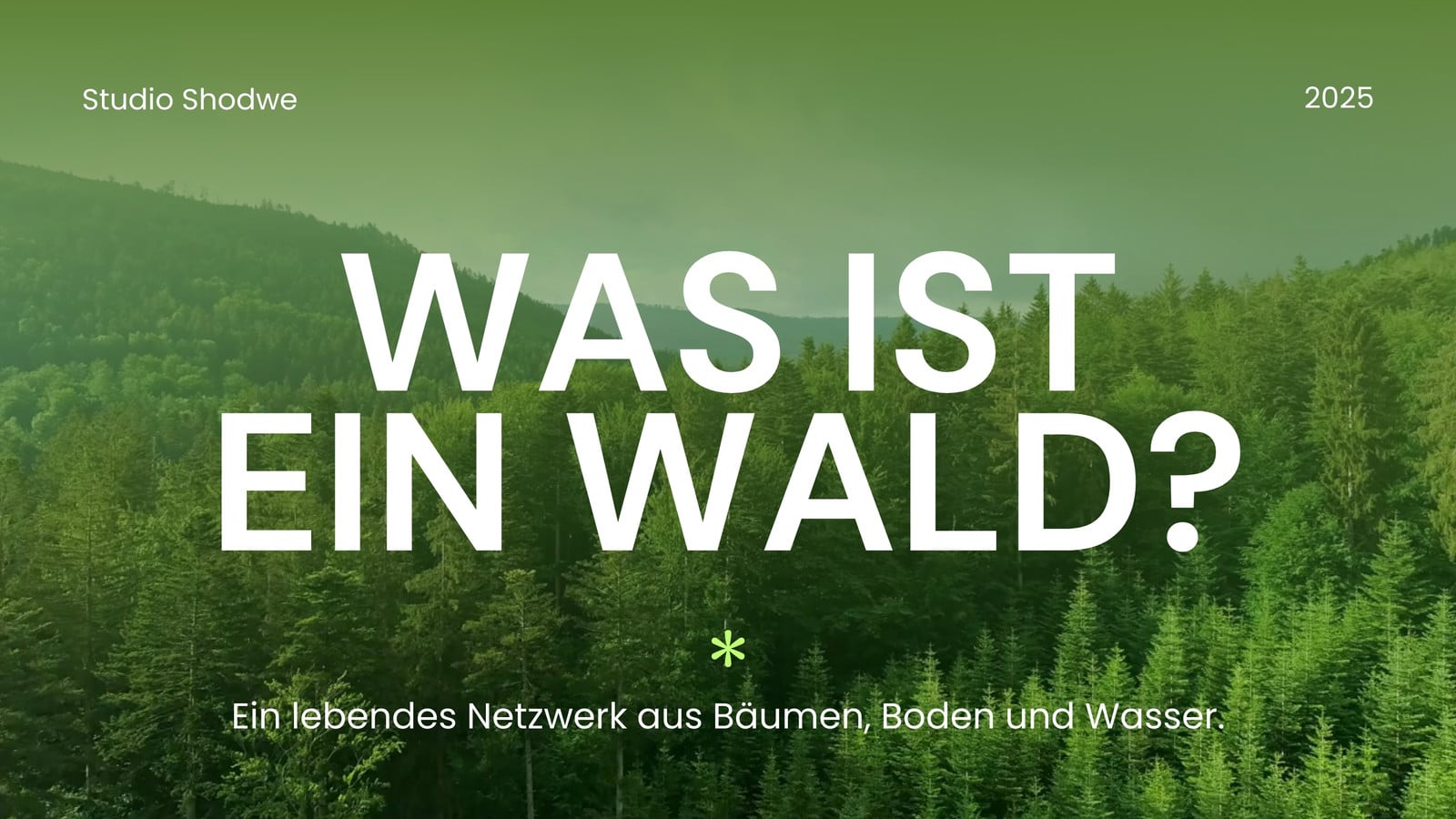 Grün und Weiß Modernes Waldvideo Grün und Weiß Modernes Waldvideo