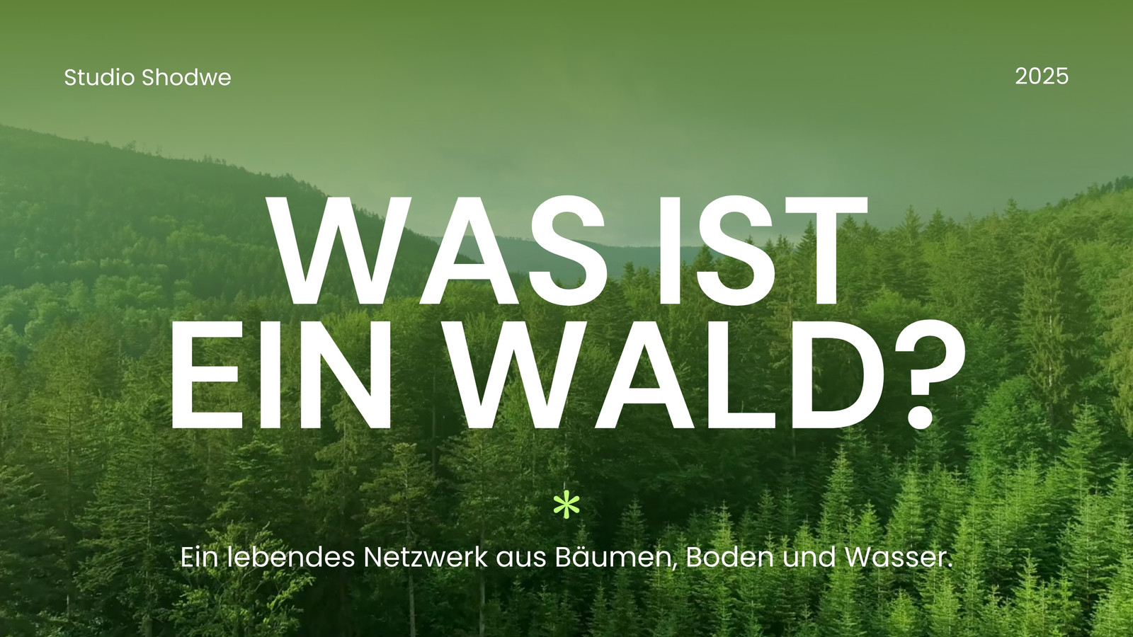 Grün und Weiß Modernes Waldvideo Grün und Weiß Modernes Waldvideo