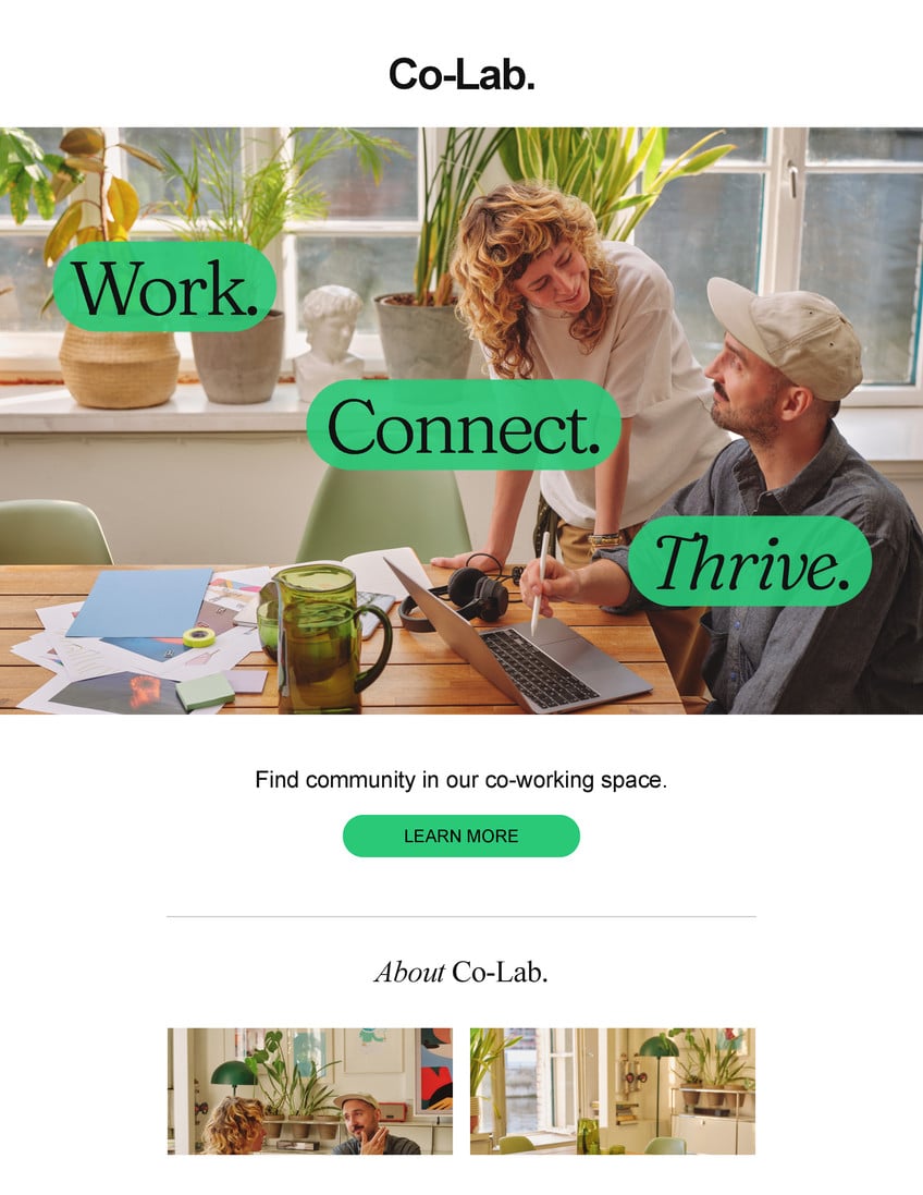 Real Estate Email in Black White Green Bare Minimal Style