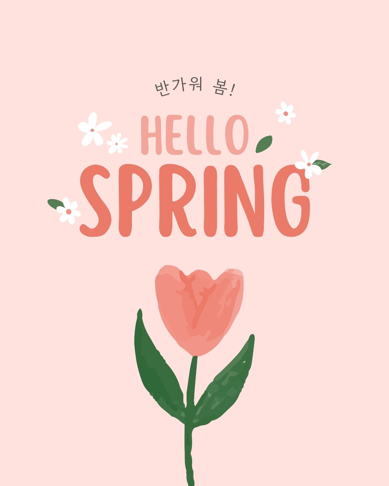 핑크색 흰색 심플한 봄 꽃 인스타그램 게시물