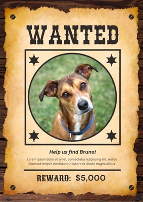 Free and customizable wanted poster templates | Canva