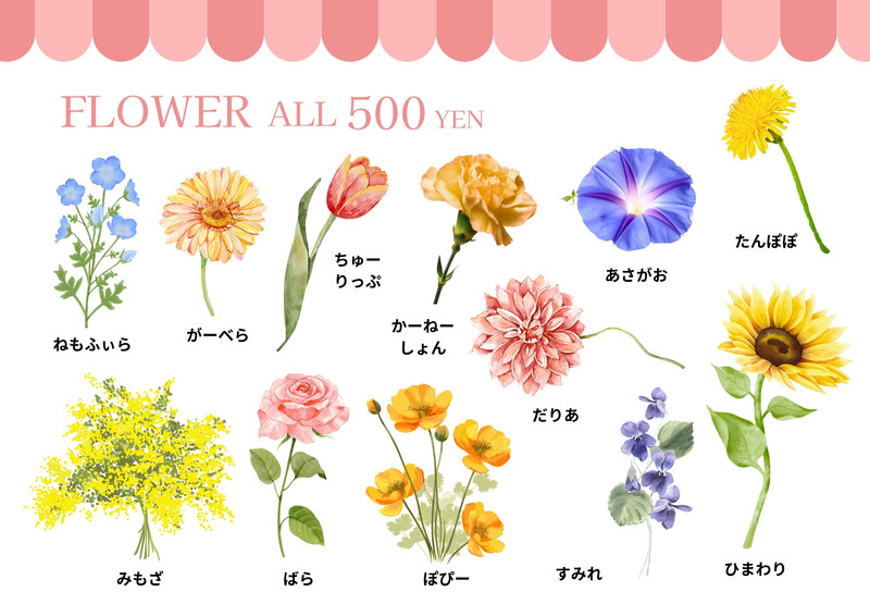 800w-IcDJFCXthxg.jpg