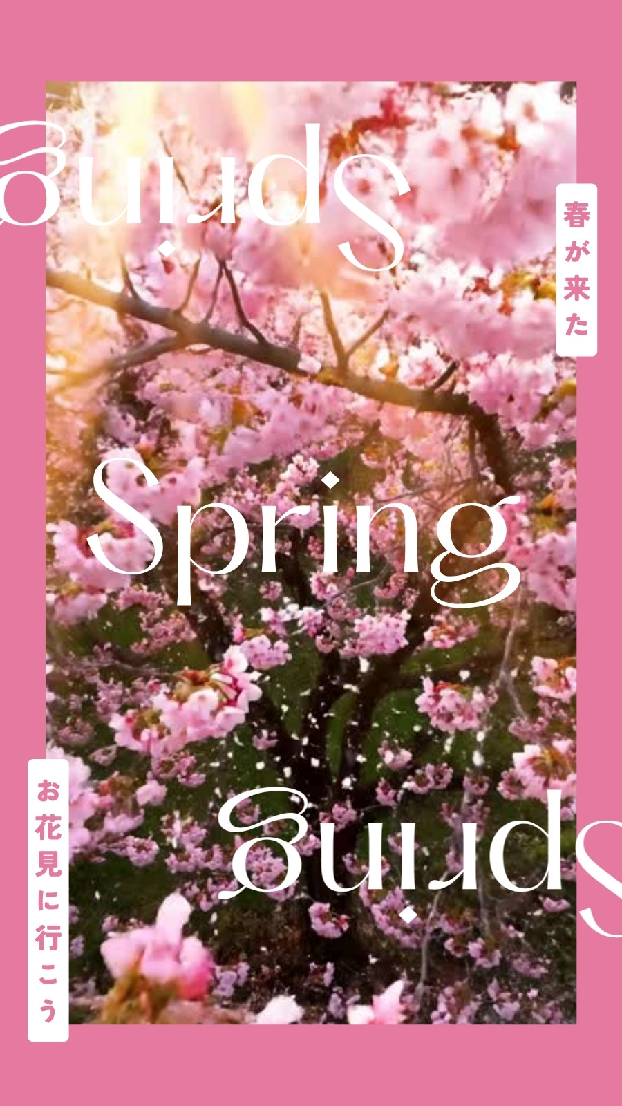 桜イラスト・画像・テンプレート