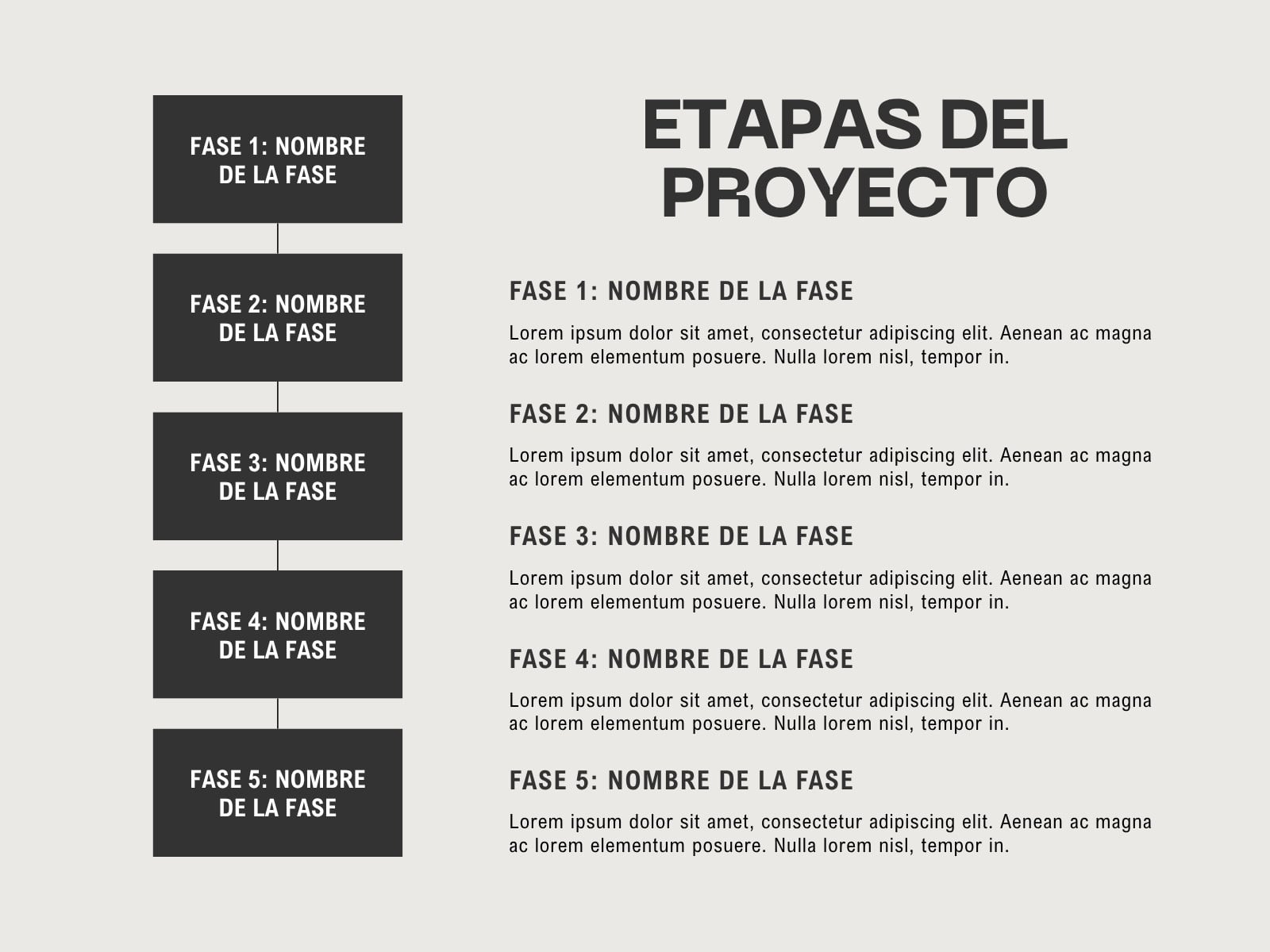 Gráfico Fases del Proyecto Minimalista y Sencillo Beige y Negro