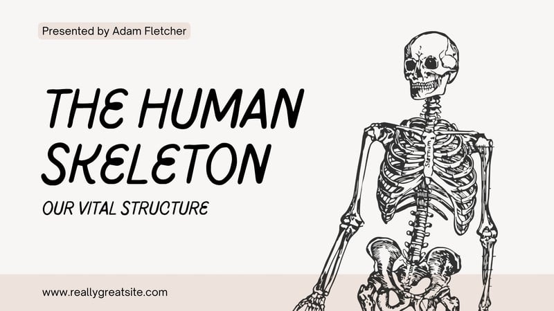 Free and customizable skeleton templates