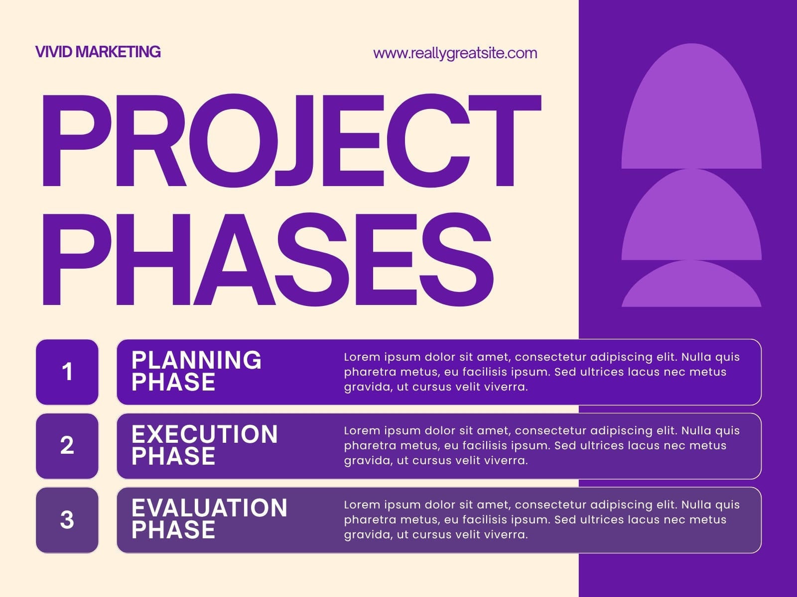 Purple and Beige Modern Project Phases Graph