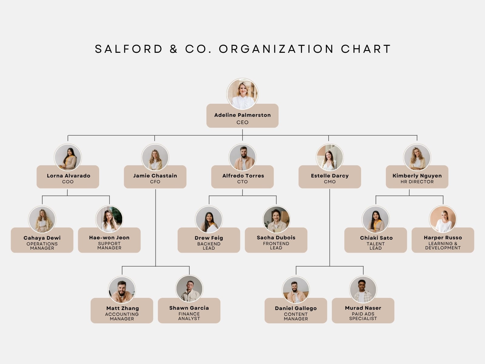 Neutral Modern Minimalist Corporate Organization Chart Graph