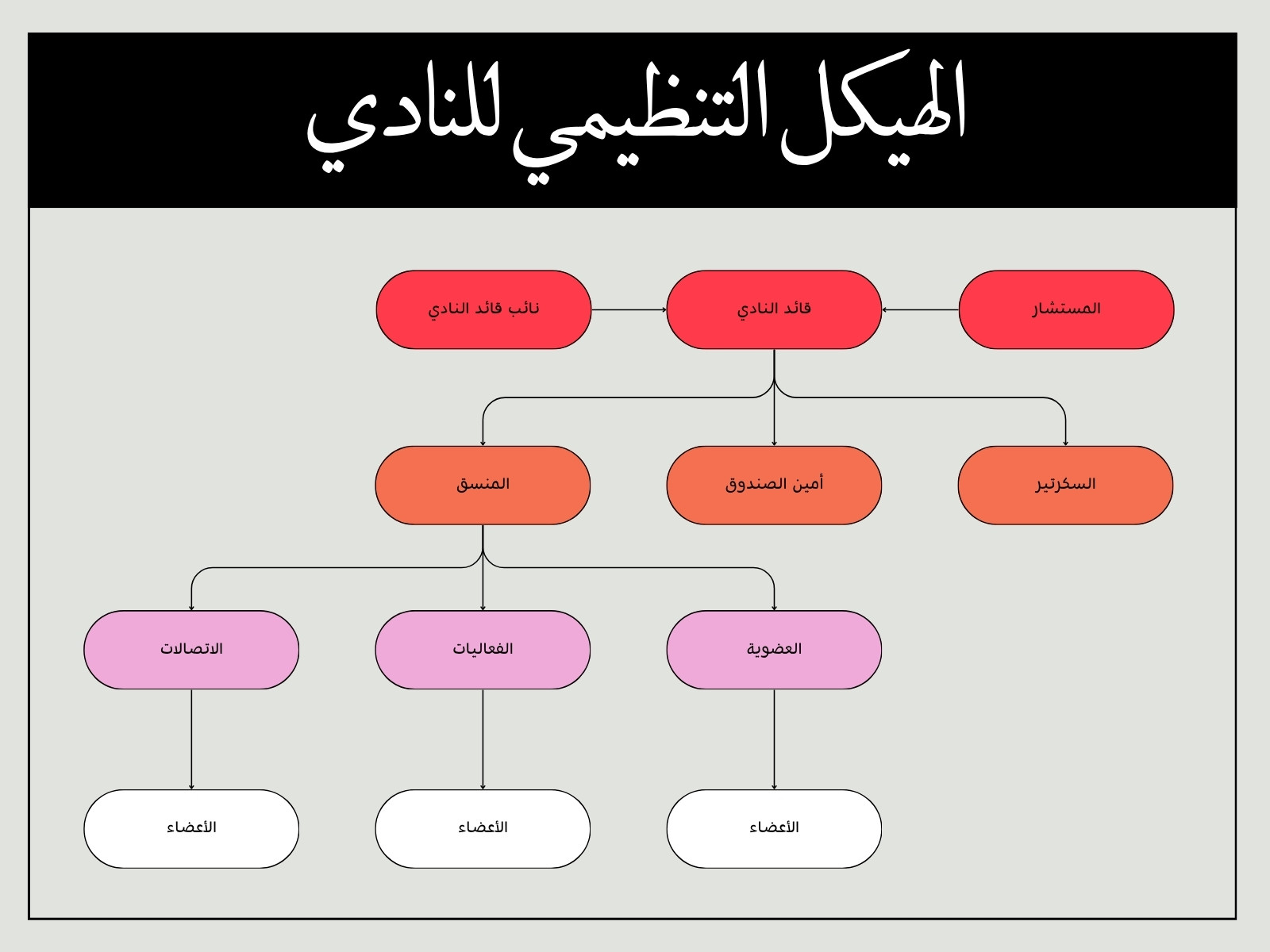 رسم بياني هيكل تنظيمي نادي تصميم بسيط أحمر وردي أسود رمادي