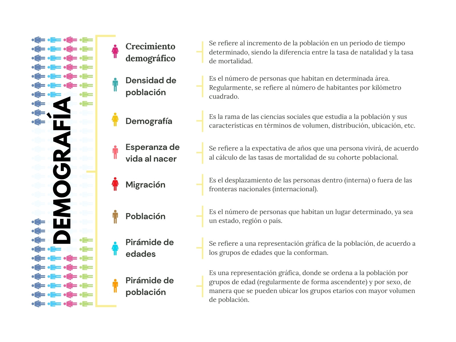 Organizador Gráfico Cuadro Sinóptico Demografía Ilustrado Colorido