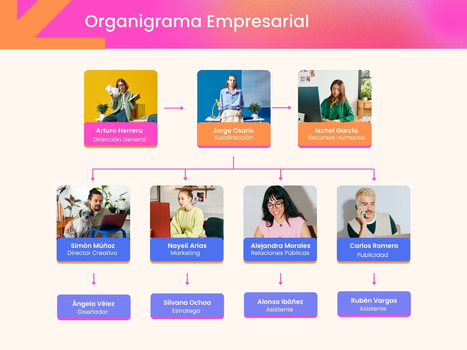 Gráfica Organigrama Empresarial Creativo Rosa
