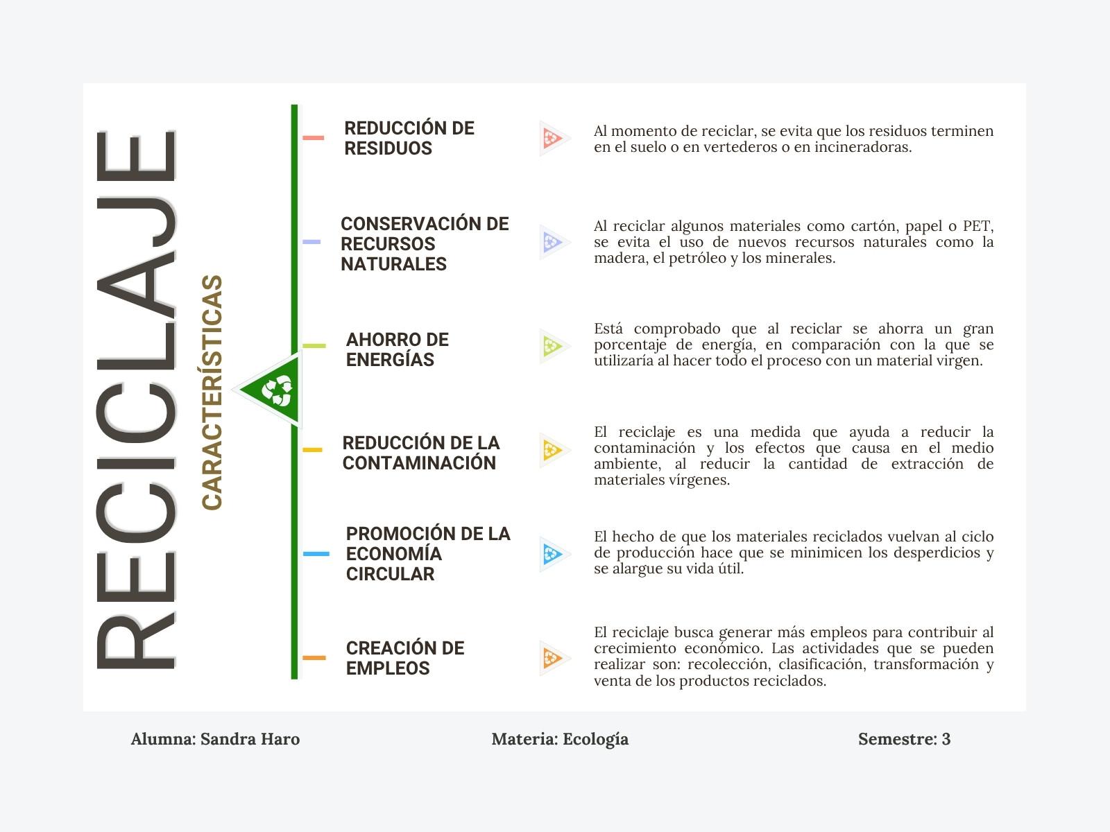 Gráfica Cuadro Sinóptico Reciclaje Profesional Colorido