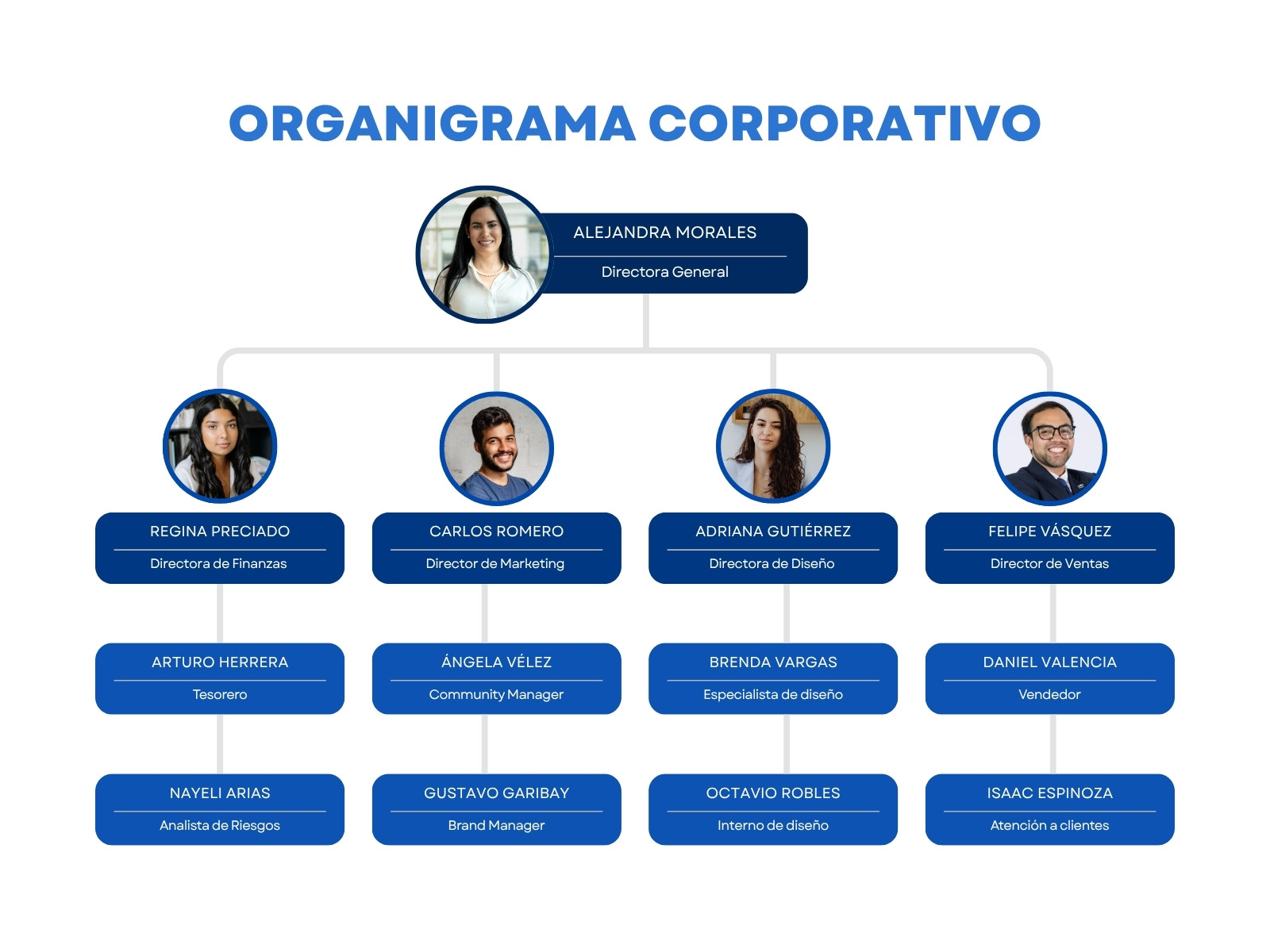 Gráfica Organigrama Corporativo Moderno Profesional Azul Blanco