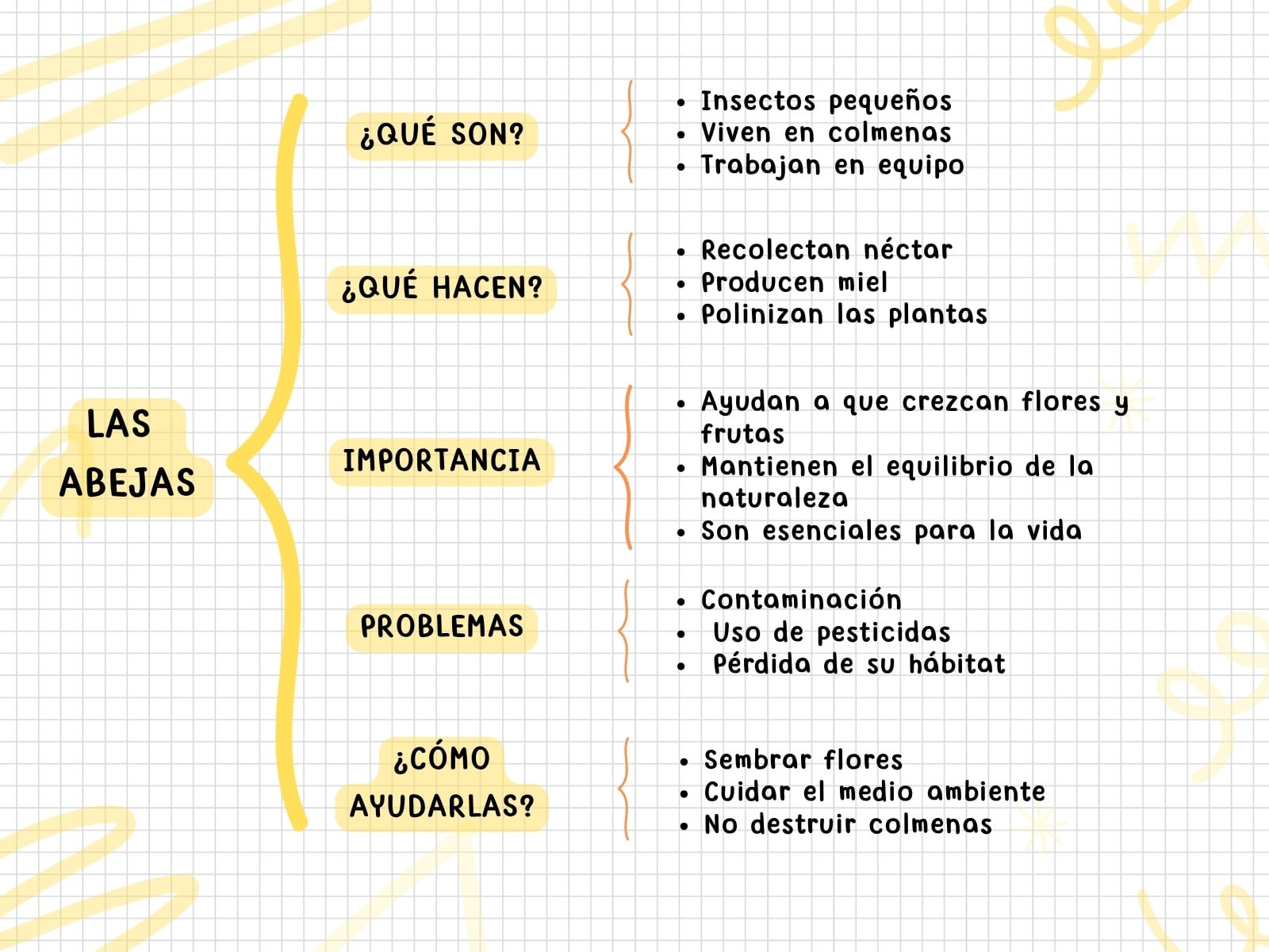 Cuadro sinóptico de las Abejas Estilo Doodle Color Amarillo