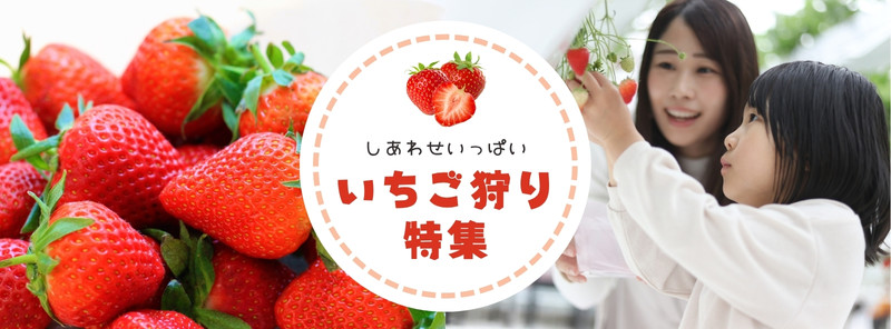 5ページ - かわいいいちご無料テンプレートデザイン。イラストや画像